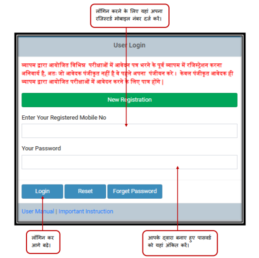 User Login Interface